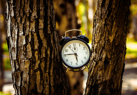 Timing is Everything: Understanding Cannabinoids and Your Body's Natural Clock